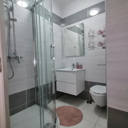 Luxury דירה נובי ווינודולסקי
